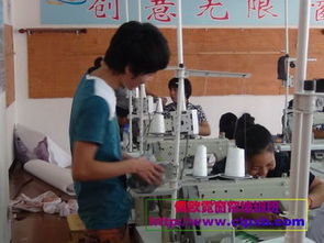 柯桥窗帘产业全攻略 从培训到批发的专业指南